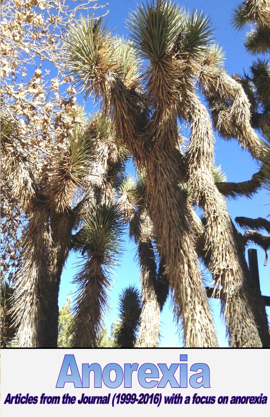 Anorexia Focus Booklet (1999-2016)