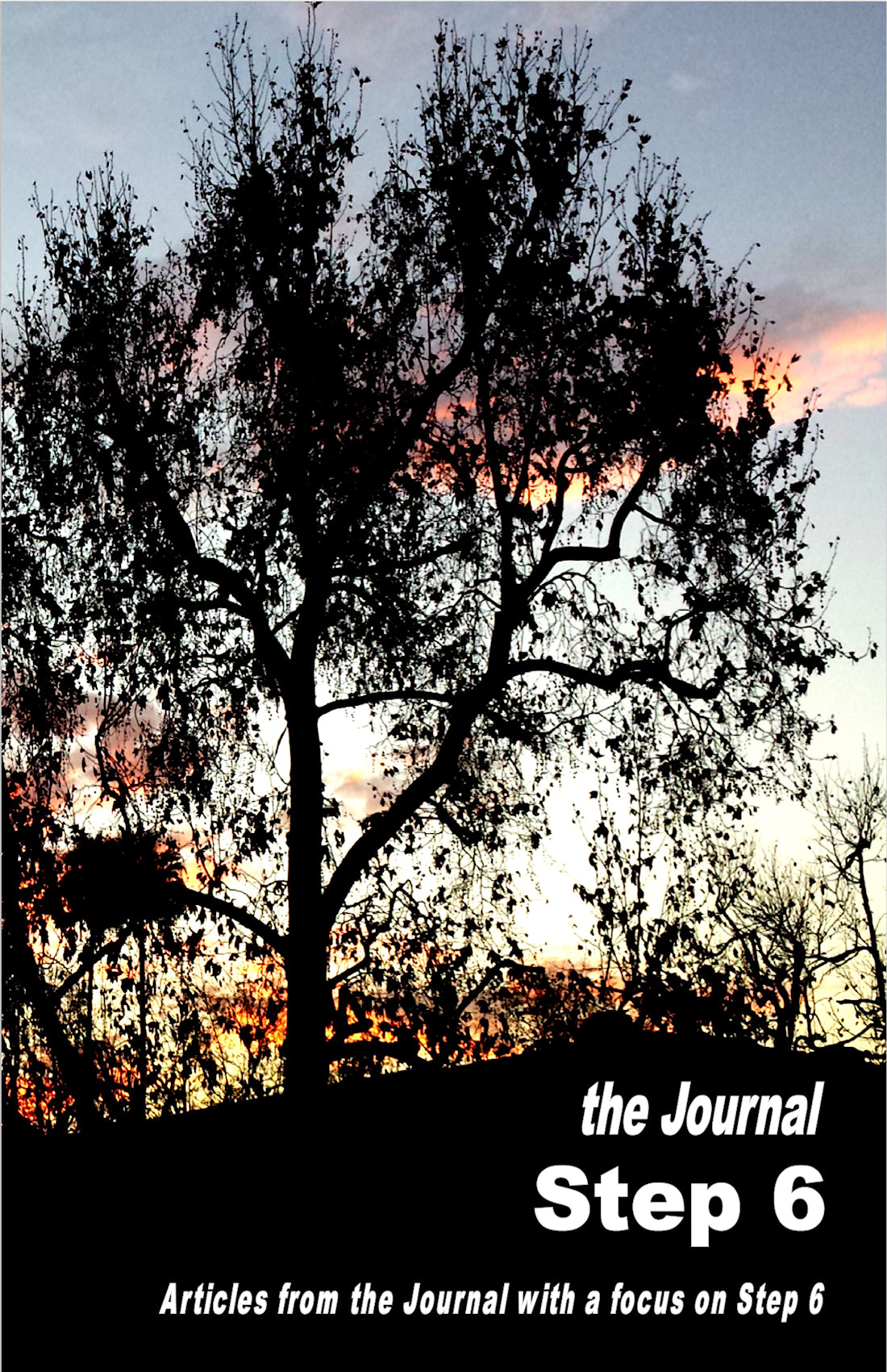 Step 6 Focus Booklet