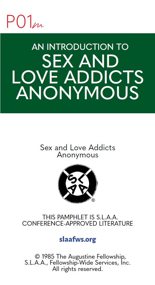 An Introduction to SLAA [PDF]