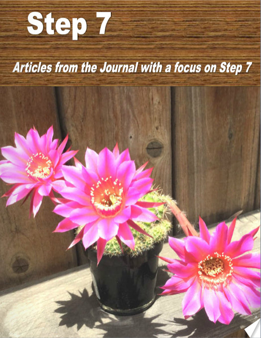 Step 7 Focus Booklet