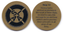 Step Chips